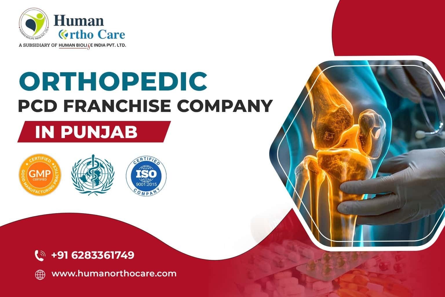 Orthopedic PCD Franchise Company in Punjab