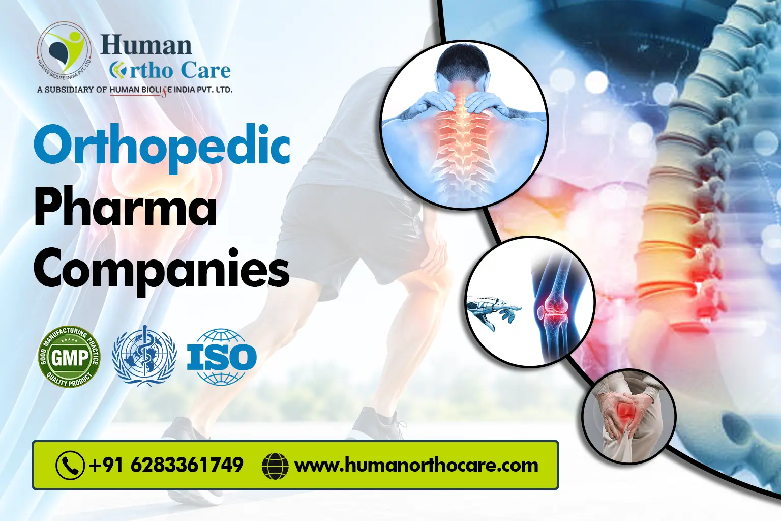 Orthopedic Pharma Companies